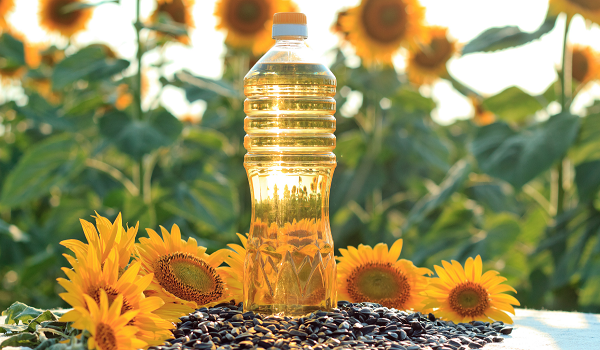 Primary, Secondary & Field Efforts, FMCG